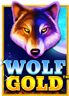 รีวิวสนุกๆ สล็อต xo วอ ล เลท66 slot ที่ต้องลอง